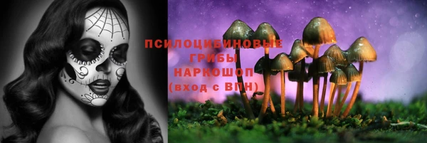 молекула духа Алзамай