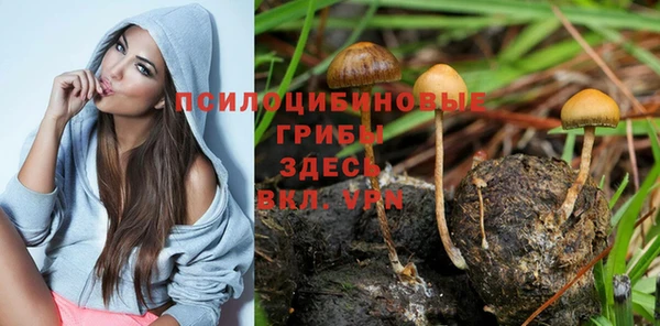 дмт Алексеевка