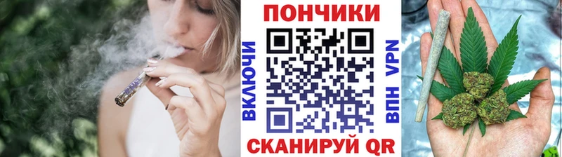 Шишки марихуана гибрид где можно купить Карабаш